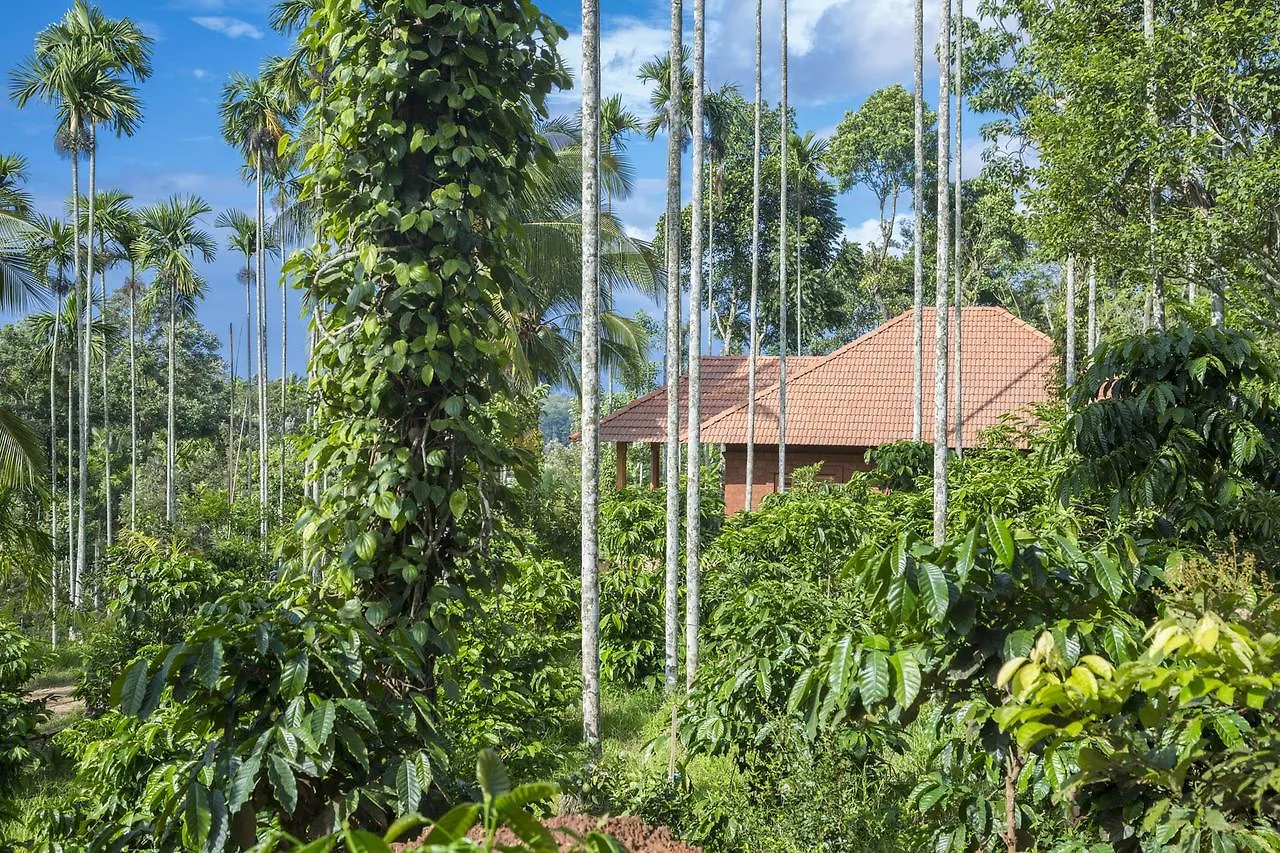 Wayanad Fort Hotel Kochi